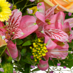 Blumenstrauß Blütenexplosion mit Vase & Ferrero Giotto 3er