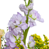 Blumenstrauß Blütenexplosion mit Vase & Ferrero Giotto 3er