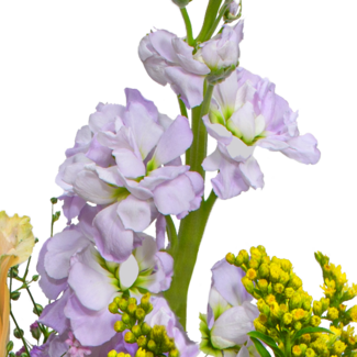 Blumenstrauß Blütenexplosion mit Vase & Ferrero Giotto 3er