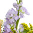 Blumenstrauß Blütenexplosion mit Vase & Ferrero Giotto 3er