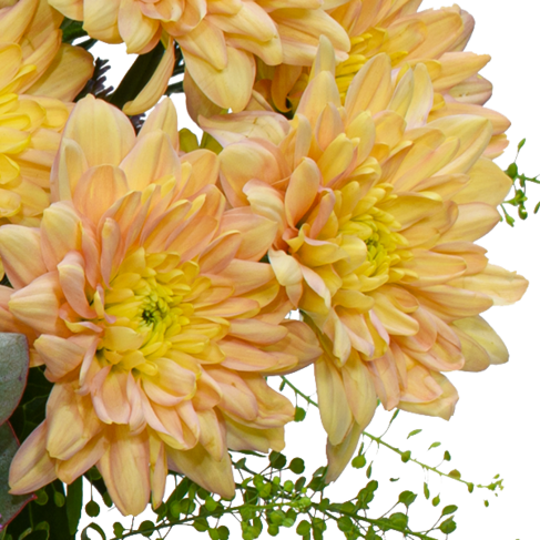 Blumenstrauß Liebevoll mit Vase & Ferrero Giotto 3er