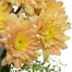 Blumenstrauß Liebevoll mit Vase & Ferrero Giotto 3er