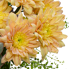 Blumenstrauß Liebevoll mit Ferrero Giotto 3er