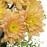 Blumenstrauß Liebevoll mit Vase & Ferrero Giotto 3er