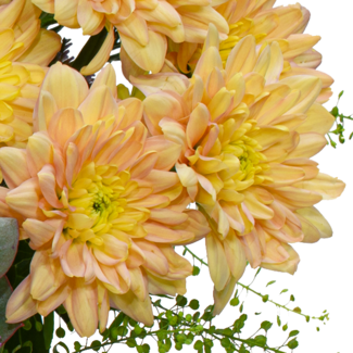 Blumenstrauß Liebevoll mit Vase & Ferrero Giotto 3er