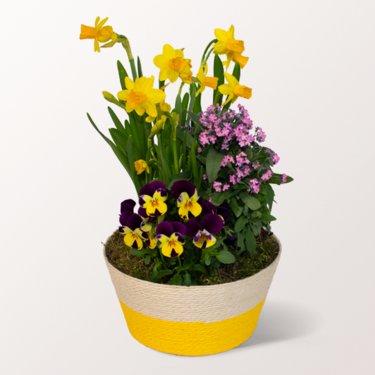 Easter Surprise in a Basket
