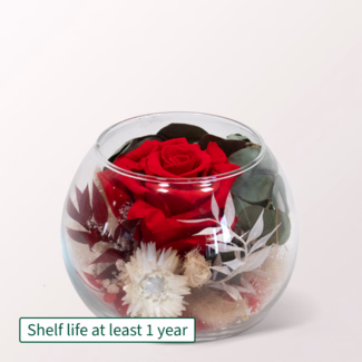 Red Long-Lasting Rose in a Glass