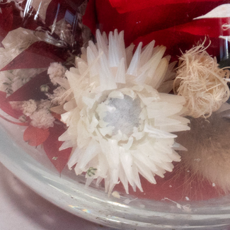 Rote haltbare Rose im Glas