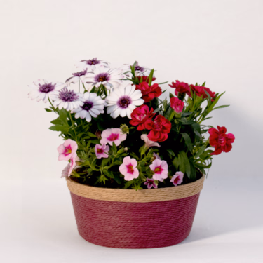 Farbenfest in a Basket