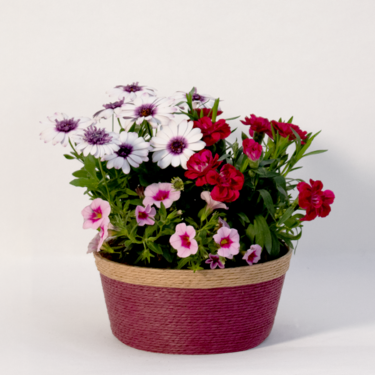 Farbenfest in a Basket
