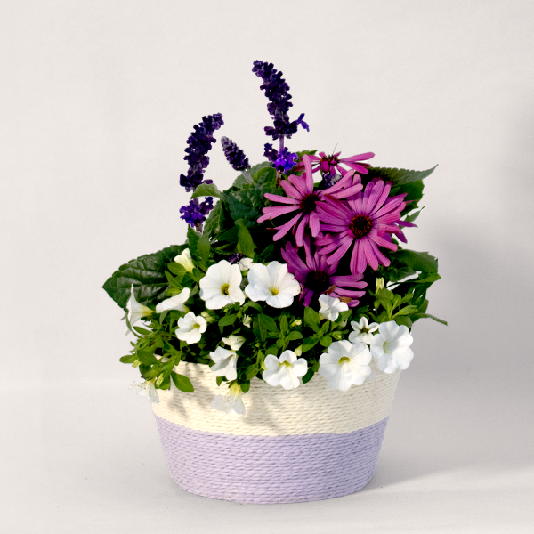 Dreamlike Floral Splendour in a Basket
