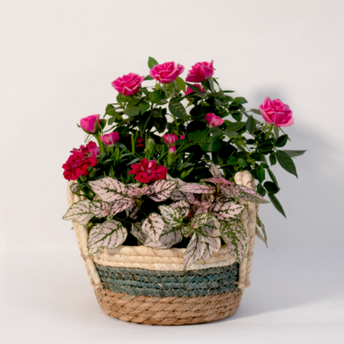 Colourful Blossoms in a Basket