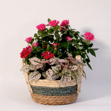Colourful Blossoms in a Basket