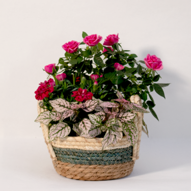Colourful Blossoms in a Basket