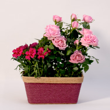Pink & Rosa Zauber im Korb