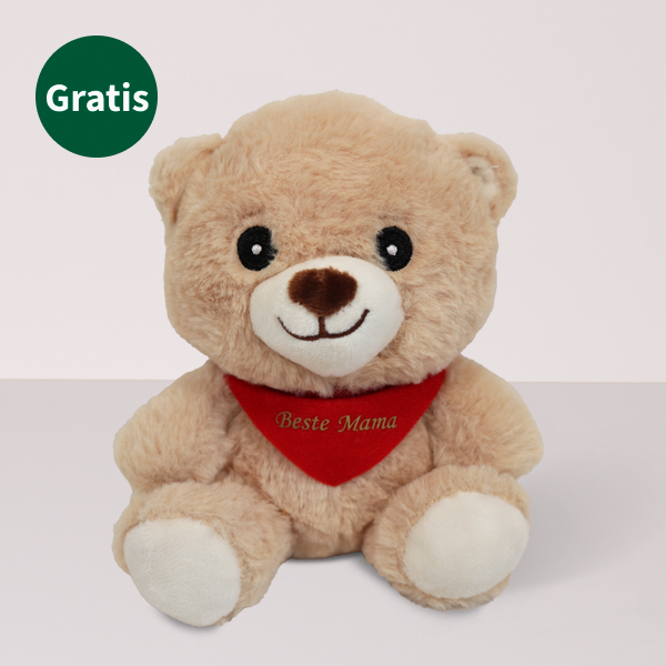 Teddy Bär „Beste Mama“ (15 cm)