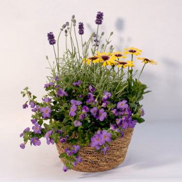 Blossom Harmony in a Wicker Basket