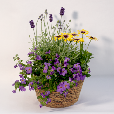 Blossom Harmony in a Wicker Basket