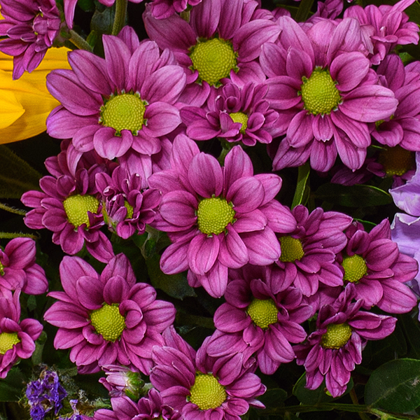 Blumenstrauß Farbenfroh mit Vase & Ferrero Giotto