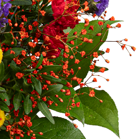 Blumenstrauß Blütenwiese mit Vase & Ferrero Giotto 3er