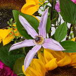 Flower Bouquet Sonnentag with vase & 3 Ferrero Giotto