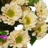 Blumenstrauß Sommergedicht mit Vase & Ferrero Giotto 3er