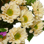 Flower Bouquet Sommergedicht with vase & 3 Ferrero Giotto