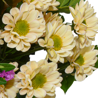Blumenstrauß Sommergedicht mit Vase & Ferrero Giotto 3er