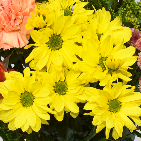 Flower Bouquet Sommerschönheit with vase & 3 Ferrero Giotto