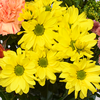 Blumenstrauß Sommerschönheit