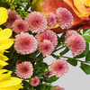 Blumenstrauß Sommerschönheit