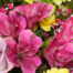 Flower Bouquet Sommerfreude with vase & 3 Ferrero Giotto