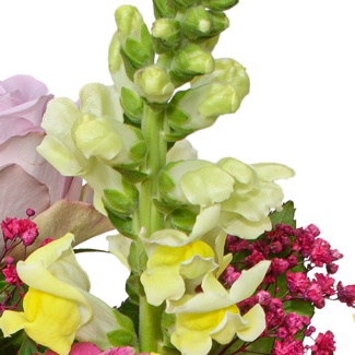 Blumenstrauß Sommerfreude mit Vase & Ferrero Giotto 3er