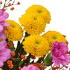Blumenstrauß Sommergarten