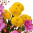 Blumenstrauß Sommergarten mit Vase & Ferrero Giotto 3er