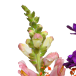 Flower Bouquet Bunter Sommer with vase & 3 Ferrero Giotto