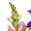 Blumenstrauß Bunter Sommer mit Vase & Ferrero Giotto 3er