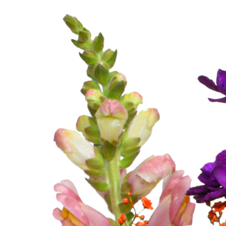 Flower Bouquet Bunter Sommer with vase & 3 Ferrero Giotto