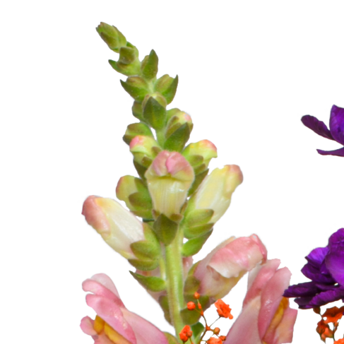 Blumenstrauß Bunter Sommer mit Vase & Ferrero Giotto 3er