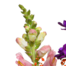 Flower Bouquet Bunter Sommer with vase & 3 Ferrero Giotto