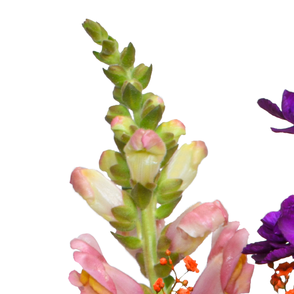 Blumenstrauß Bunter Sommer mit Vase & Ferrero Giotto