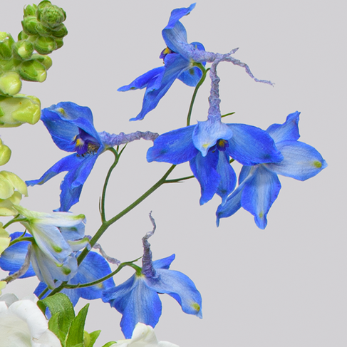 Blumenstrauß Sommerglück mit Vase & Ferrero Giotto 3er