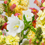 Blumenstrauß Sommertanz mit Vase & Ferrero Giotto 3er