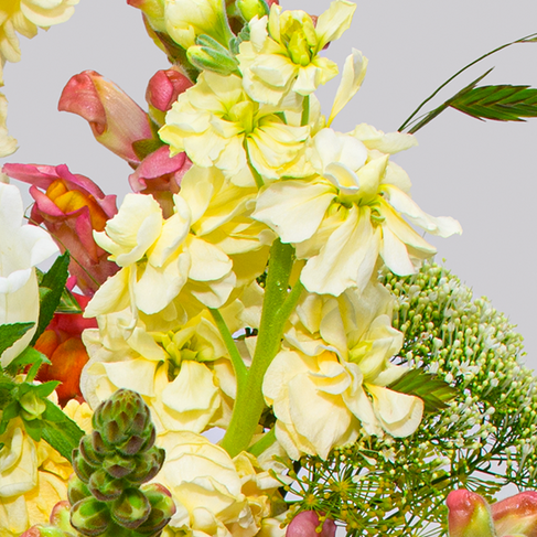 Flower Bouquet Sommertanz with vase & 3 Ferrero Giotto