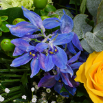 Premium Bouquet Farbspiel with Premium Vase & 3 Ferrero Giotto