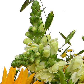 Premiumstrauß Sommerglühen mit Premiumvase & Ferrero Giotto 3er