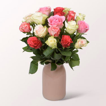 17 pastellfarbene Angebots-Rosen im Bund mit Vase & Ferrero Giotto 3er 17 pastellfarbene Angebots-Rosen im Bund mit Vase & Ferrero Giotto 3er