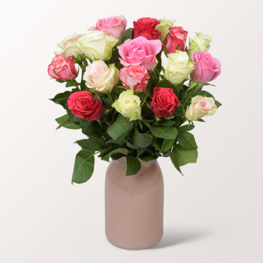 17 pastel coloured roses in a bunch with vase & 3 Ferrero Giotto 17 pastel coloured roses in a bunch with vase & 3 Ferrero Giotto