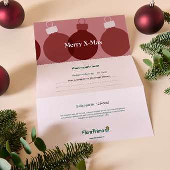 Digital Gift Certificate „Merry X-Mas“
