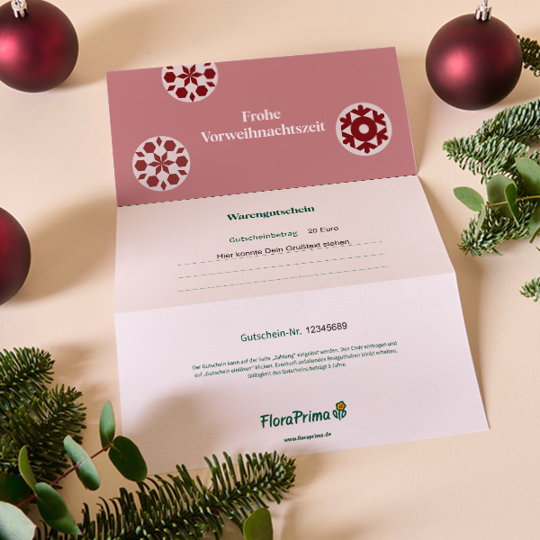 Digital Gift Certificate „Frohe Vorweihnachtszeit“